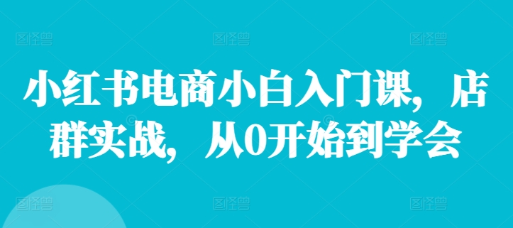 小红书电商小白入门课，店群实战，从0开始到学会-咖脉互联