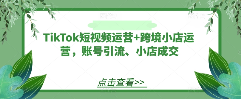 TikTok短视频运营+跨境小店运营，账号引流、小店成交-咖脉互联