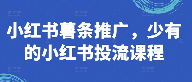 小红书薯条推广，少有的小红书投流课程-咖脉互联