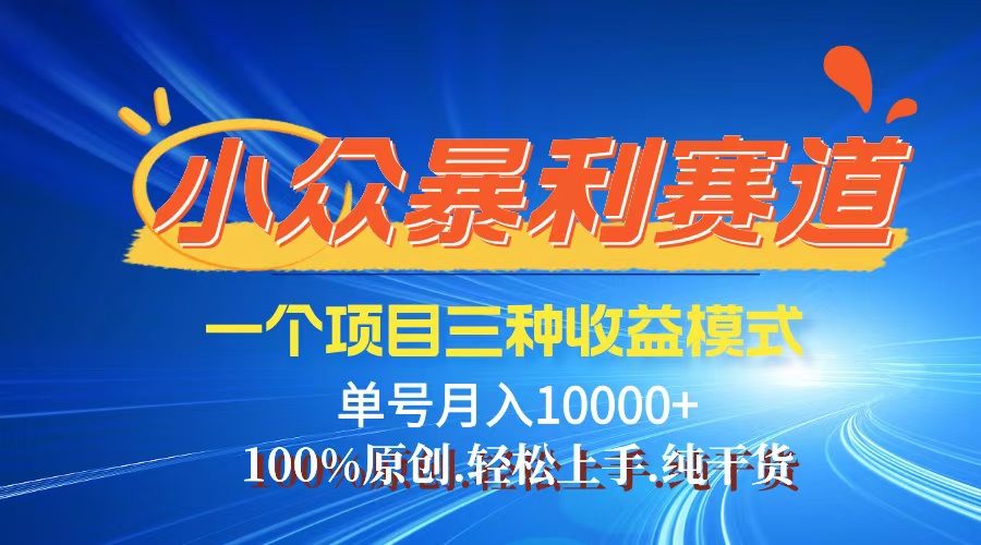 （12579期）【老人言】-视频号爆火赛道，三种变现方式，0粉新号调调爆款-咖脉互联