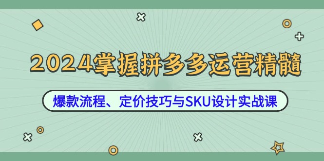 （12703期）2024掌握拼多多运营精髓：爆款流程、定价技巧与SKU设计实战课-咖脉互联