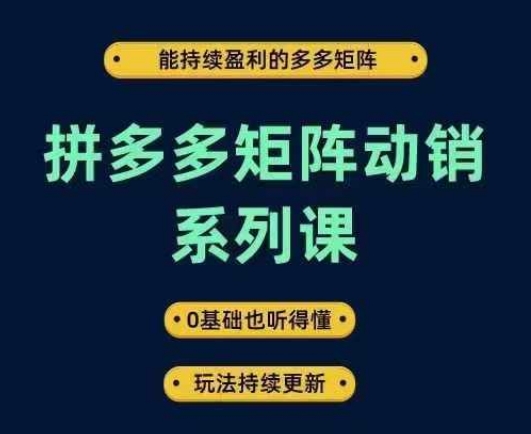 拼多多矩阵动销系列课，能持续盈利的多多矩阵，0基础也听得懂，玩法持续更新-咖脉互联