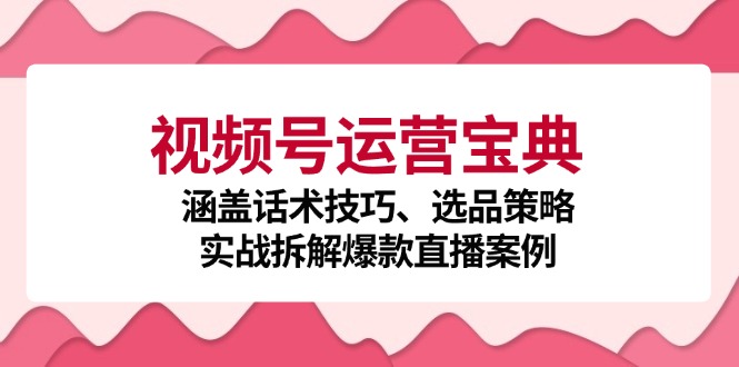 视频号运营宝典：涵盖话术技巧、选品策略、实战拆解爆款直播案例-咖脉互联