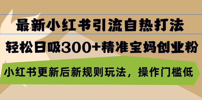 （13145期）最新小红书引流自热打法，轻松日吸300+精准宝妈创业粉，小红书更新后新…-咖脉互联