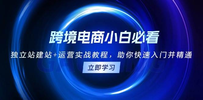 跨境电商小白必看！独立站建站+运营实战教程，助你快速入门并精通-咖脉互联