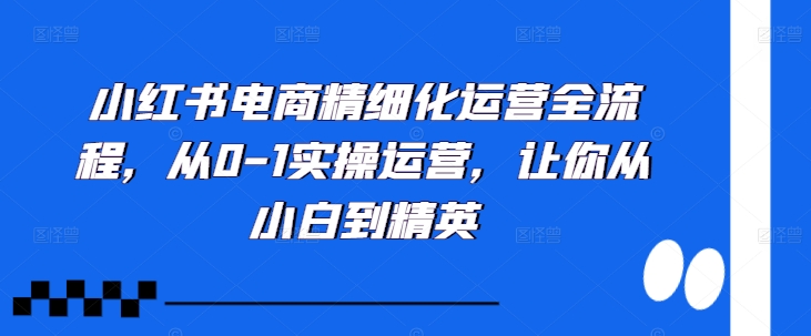 小红书电商精细化运营全流程，从0-1实操运营，让你从小白到精英-咖脉互联