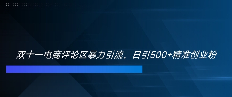 双十一电商评论区暴力引流，日引500+精准创业粉【揭秘】-咖脉互联