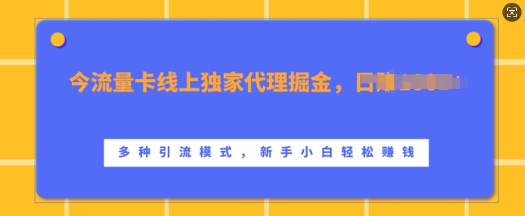 流量卡线上独家代理掘金，日入1k+ ，多种引流模式，新手小白轻松上手【揭秘】-咖脉互联