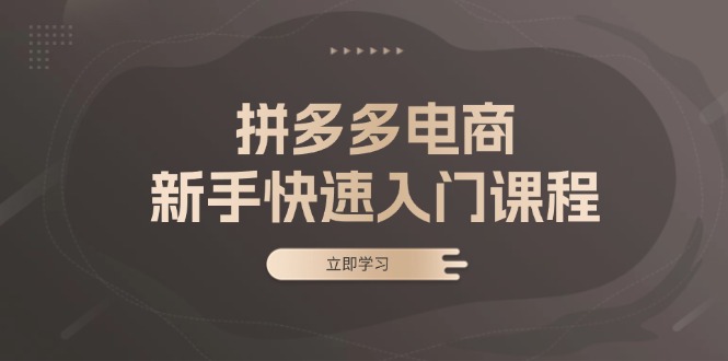 拼多多电商新手快速入门课程：涵盖基础、实战与选款，助力小白轻松上手-咖脉互联