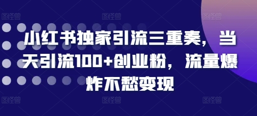 小红书独家引流三重奏，当天引流100+创业粉，流量爆炸不愁变现【揭秘】-咖脉互联