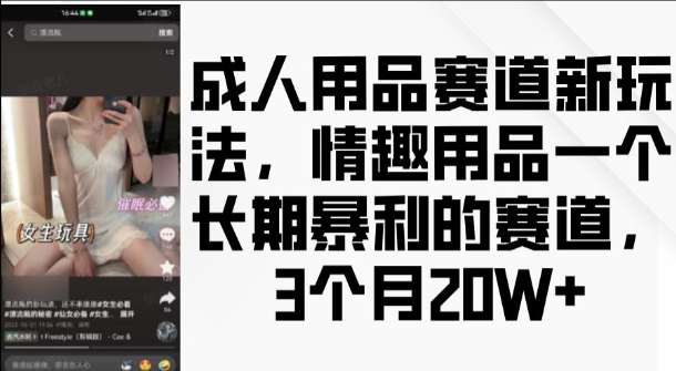 成人用品赛道新玩法，情趣用品一个长期暴利的赛道，3个月收益20个【揭秘】-咖脉互联