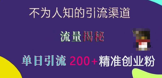 不为人知的引流渠道，流量揭秘，实测单日引流200+精准创业粉【揭秘】-咖脉互联