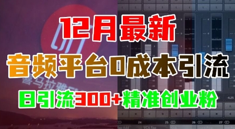 12月最新：音频平台0成本引流，日引流300+精准创业粉-咖脉互联