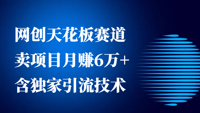 网创天花板赛道，卖项目月赚6万+，含独家引流技术(共26节课)-咖脉互联