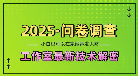 2025问卷调查最新工作室技术解密：一个人在家也可以闷声发大财，小白一天2张，可矩阵放大【揭秘】-咖脉互联