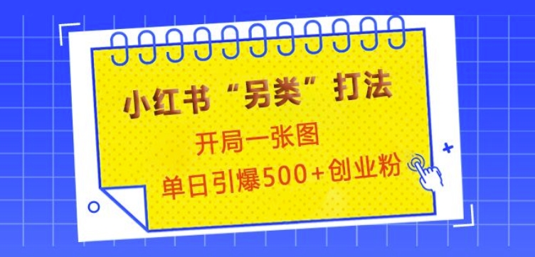 小红书“另类”打法，开局一张图，单日引爆500+精准创业粉【揭秘】-咖脉互联