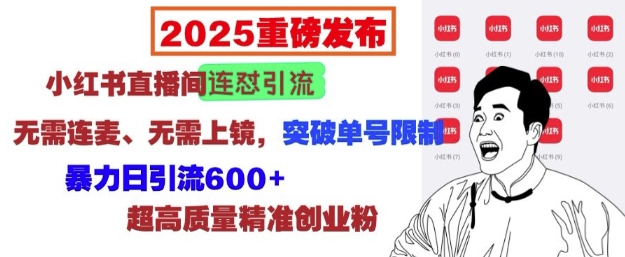 2025重磅发布：小红书直播间连怼引流，无需连麦、无需上镜，突破单号限制，暴力日引流600+-咖脉互联