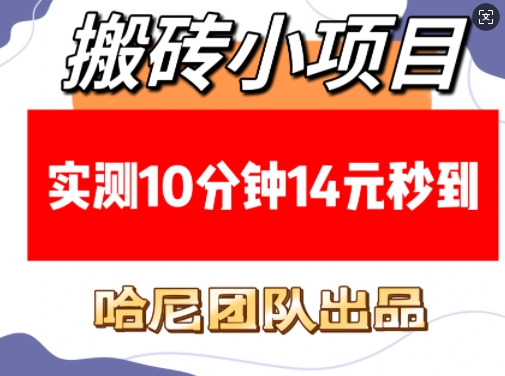 搬砖小项目，实测10分钟14元秒到，每天稳定几张(赠送必看稳定)-咖脉互联