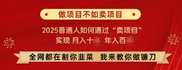 必看，做项目不如卖项目，2025普通人如何通过“卖项目”实现月入十个，年入百个-咖脉互联