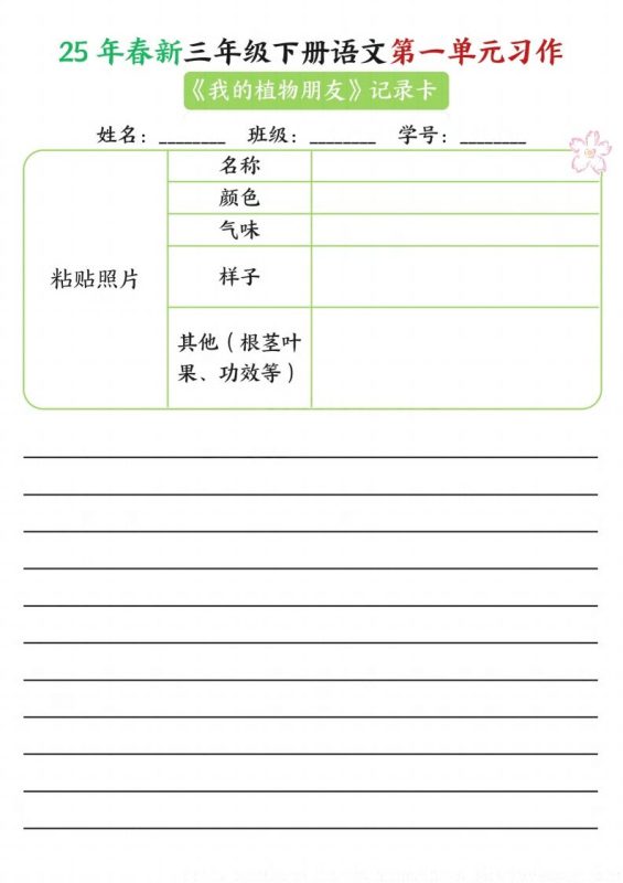 【习作】25年春新三下语文第一单元习作(观察单)16页-咖脉互联