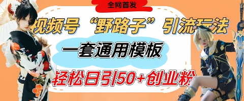 视频号“野路子”玩法，评论区疯狂截流，一套模板单日单号引流50+创业粉-咖脉互联
