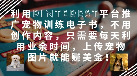 利用Pinterest平台推广宠物训练电子书，不用创作内容，只需要每天利用业余时间，上传宠物图片就能挣美金!-咖脉互联