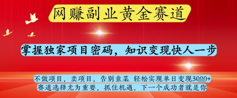网创副业黄全赛道，掌握独家项目密码，知识变现快人一步，告别韭菜轻松实现单日变现1k+【揭秘】-咖脉互联