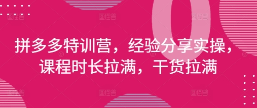 拼多多特训营，经验分享实操，课程时长拉满，干货拉满(更新25年4月)-咖脉互联