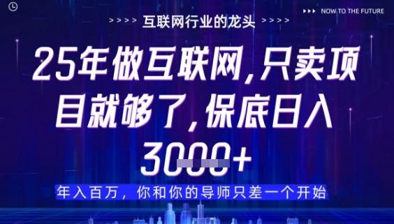 什么！25年你还在找项目做？风口早就变了，卖项目才是稳挣不赔【揭秘】-咖脉互联