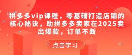 拼多多vip课程，零基础打造店铺的核心秘诀，助拼多多卖家在2025卖出爆款，订单不断-咖脉互联