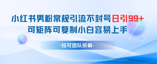 小红书男粉常规引流不封号日引99+变现简单 可矩阵可复制小白容易上手-咖脉互联