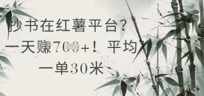 抄书在小红薯平台？平均一单30米，一天收益几张！-咖脉互联