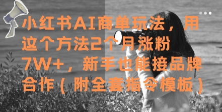 小红书AI商单玩法，用这个方法2个月涨粉7W+，新手也能接品牌合作(附全套指令模板)-咖脉互联