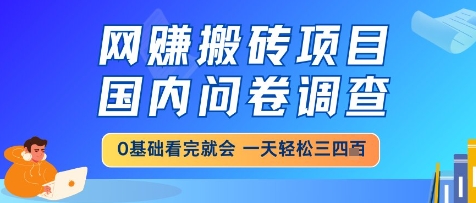 网创搬砖项目，国内问卷调查，小白轻松上手，一天三四张的也不难，干就完了【揭秘】-咖脉互联