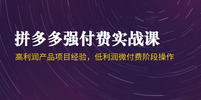 拼多多强付费实战课-44期，高利润产品项目经验，低利润微付费阶段操作-咖脉互联