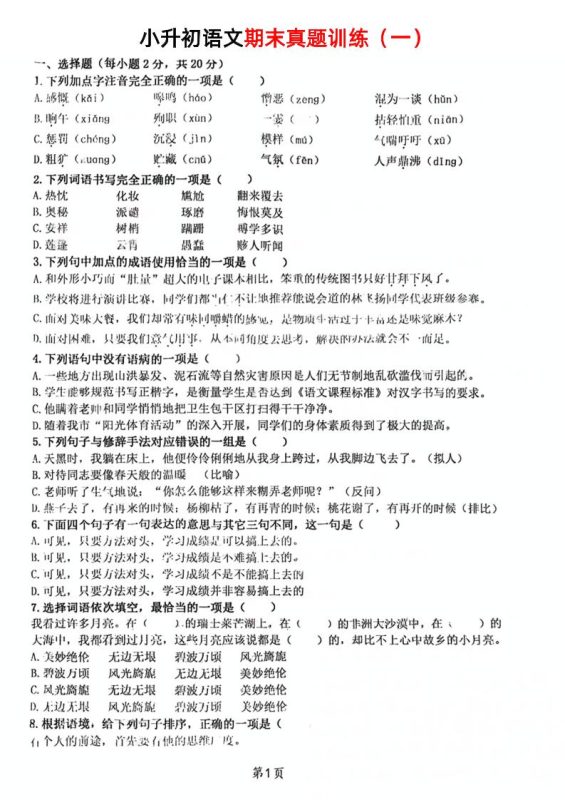《小升初语文期末真题训练》-咖脉互联