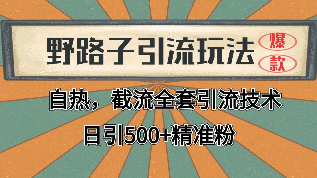 2024首发野路子引流玩法截流自热全平台打法，全自动引流【日引2000+精准客户】-咖脉互联