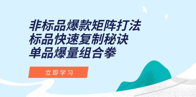 非标品爆款矩阵打法，标品快速复制秘诀，单品爆量组合拳-咖脉互联