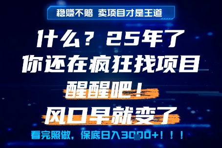 什么？25年你还在疯狂找项目做，醒醒吧，看完这些你全都懂了！【揭秘】-咖脉互联