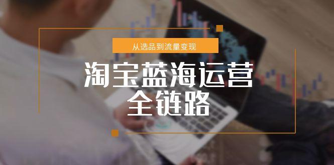 淘宝蓝海运营全链路，从选品到流量变现，小类目突围完整方案-咖脉互联