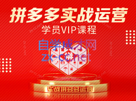 推易电商·拼多多实战运营课(更新2025月)-咖脉互联