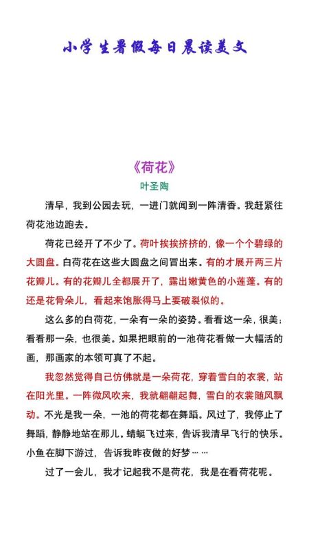 小学生暑假每日晨读美文:叶圣陶《荷花》-小升初语文-咖脉互联