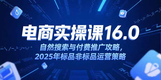淘宝电商运营课16.0，自然搜索与付费推广攻略，2025年标品非标品运营策略-咖脉互联