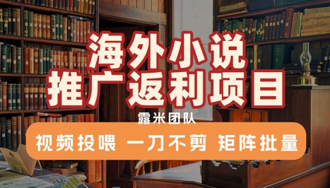 海外小说推广返利项目，视频投喂， 一刀不剪，矩阵批量-咖脉互联