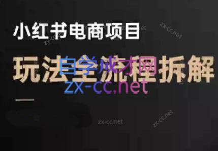 菲菲老师·小红书电商玩法(更新7月)-咖脉互联
