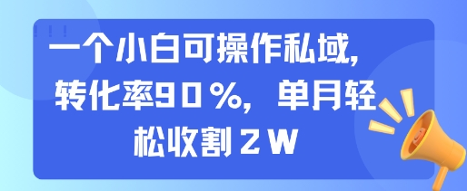 一个小白可操作私域，转化率90%，单月轻松收割2W-咖脉互联