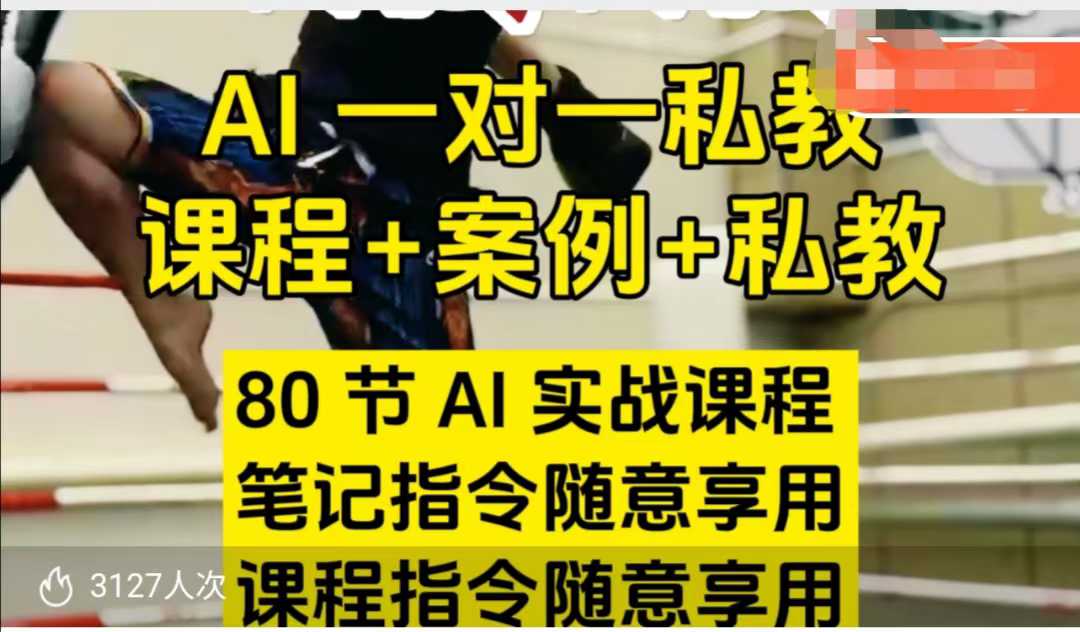 AI指令实战课，课程+案例，80节AI实战课程，笔记指令随意享用，课程指令随意享用(更新7月)-咖脉互联