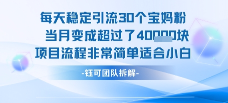每天稳定引流30个人 当月变成超过了4个W项目流程非常简单适合小白-咖脉互联