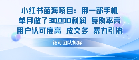 小红书蓝海项目，一部手机单月做了3W利润，小白也能月入过1W用户认可度高成交多-咖脉互联