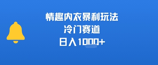 情趣内衣暴利玩法，冷门赛道，日入1k+-咖脉互联